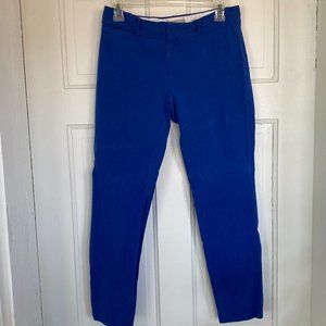 Banana Republic Sloan Skinny Pants